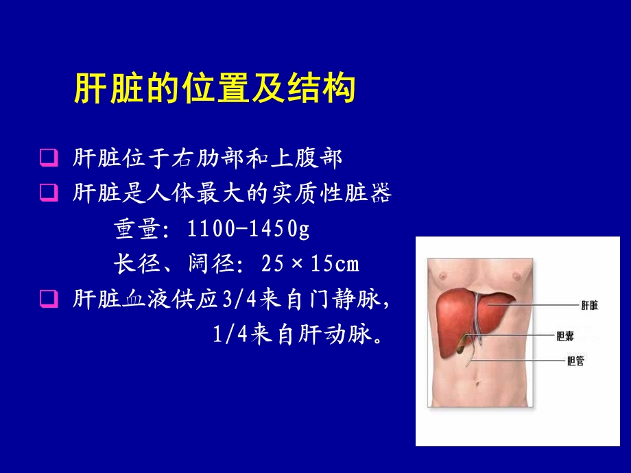 内科护理学病毒性肝炎课件.ppt_第3页