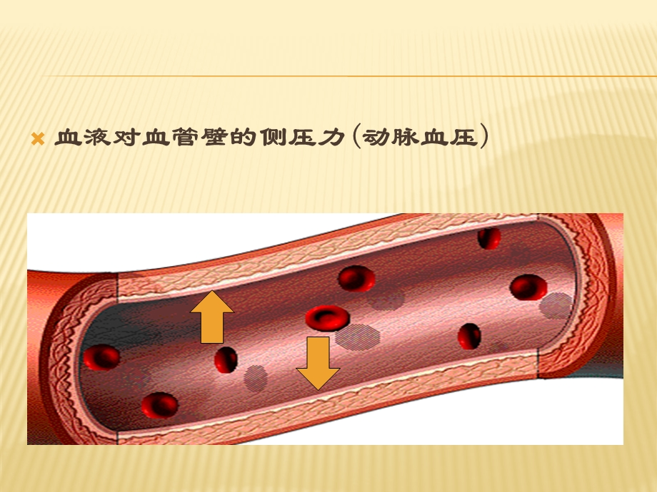 高血压中医适宜技术教案课件.ppt_第3页