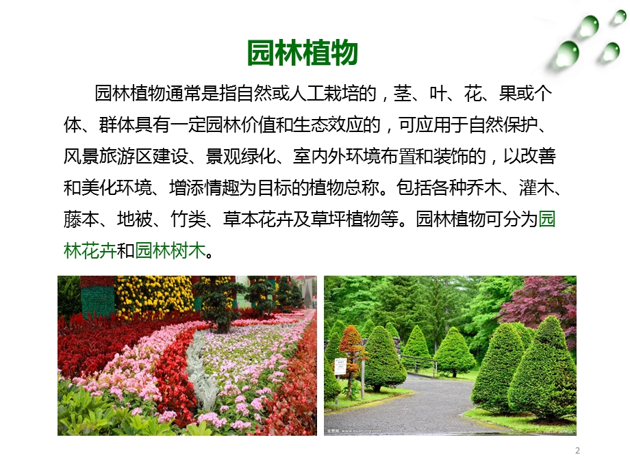 园林植物养护与管理课件.pptx_第2页