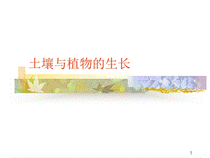 土壤与植物的生长课件.ppt