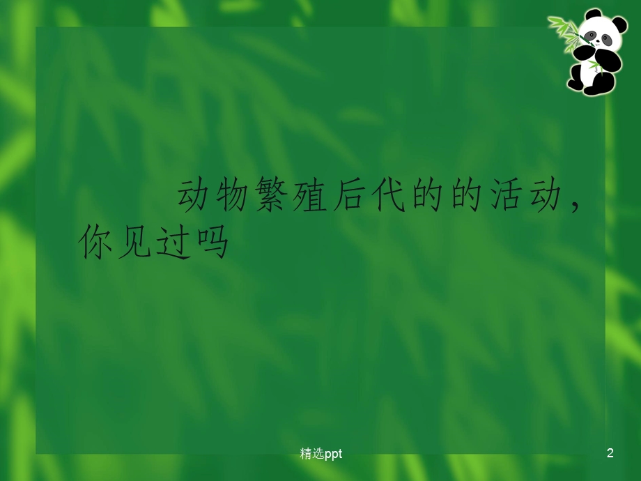 动物的繁殖课件.ppt_第2页