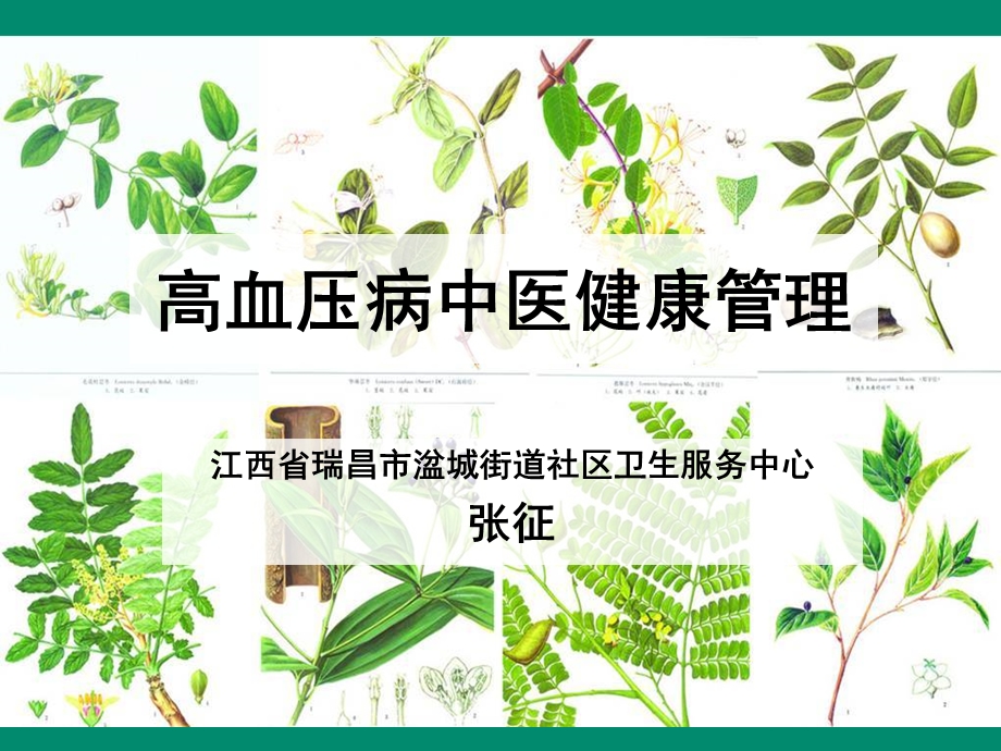 高血压病中医健康管理课件.ppt_第1页