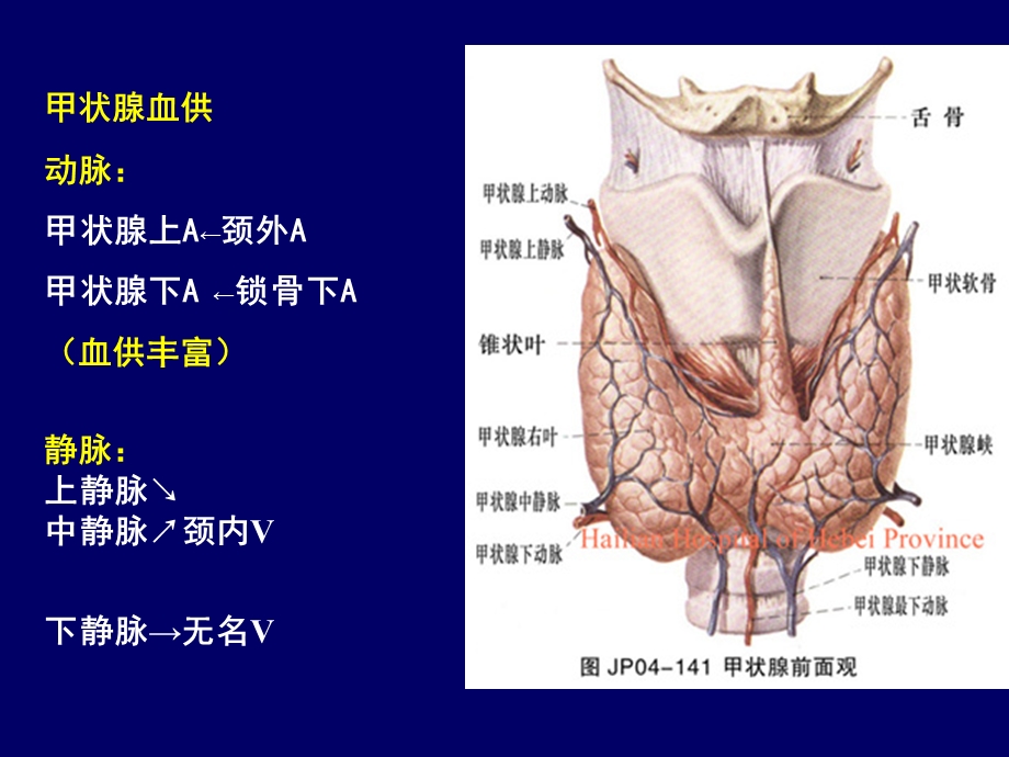 颈部疾病本科课件.ppt_第3页