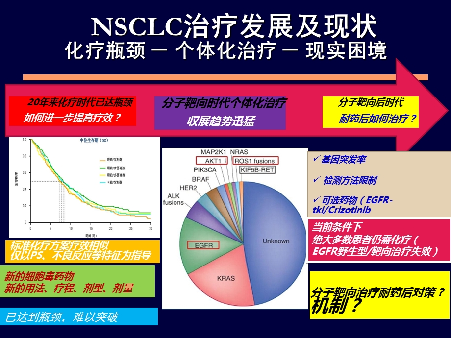 靶向治疗在NSCLC治疗进展2014课件.ppt_第3页