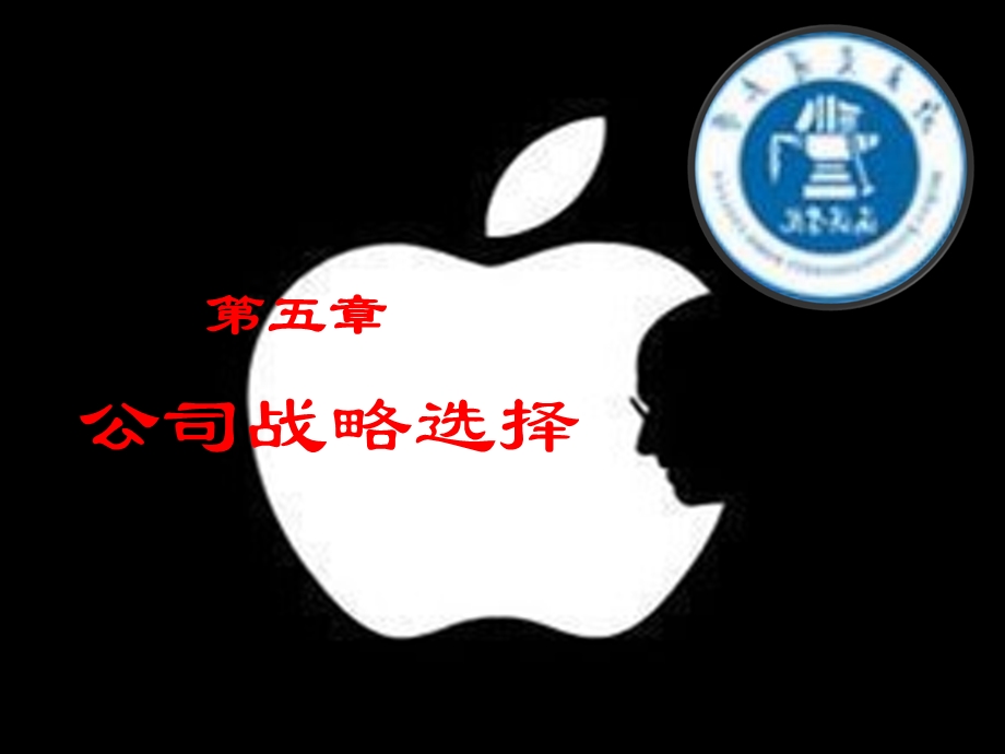 公司战略选择课件.ppt_第2页