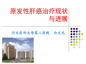 原发性肝癌治疗现状与进展课件.ppt