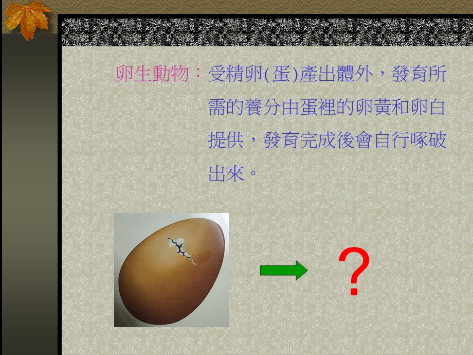 卵生和胎生动物课件.ppt_第3页