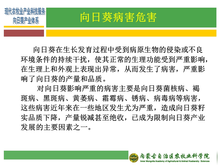 向日葵主要病害识别及防控技术课件.ppt_第2页