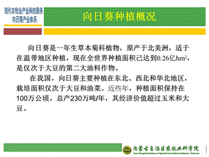 向日葵主要病害识别及防控技术课件.ppt