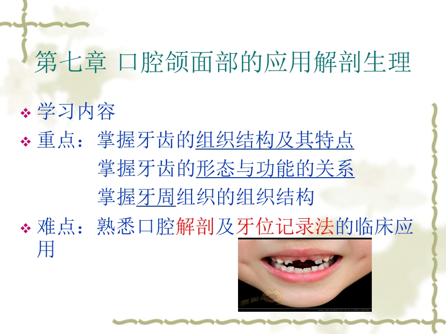 口腔解剖生理课件.ppt_第3页