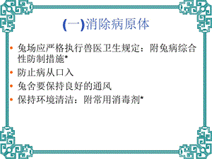 兔病的防治课件.ppt