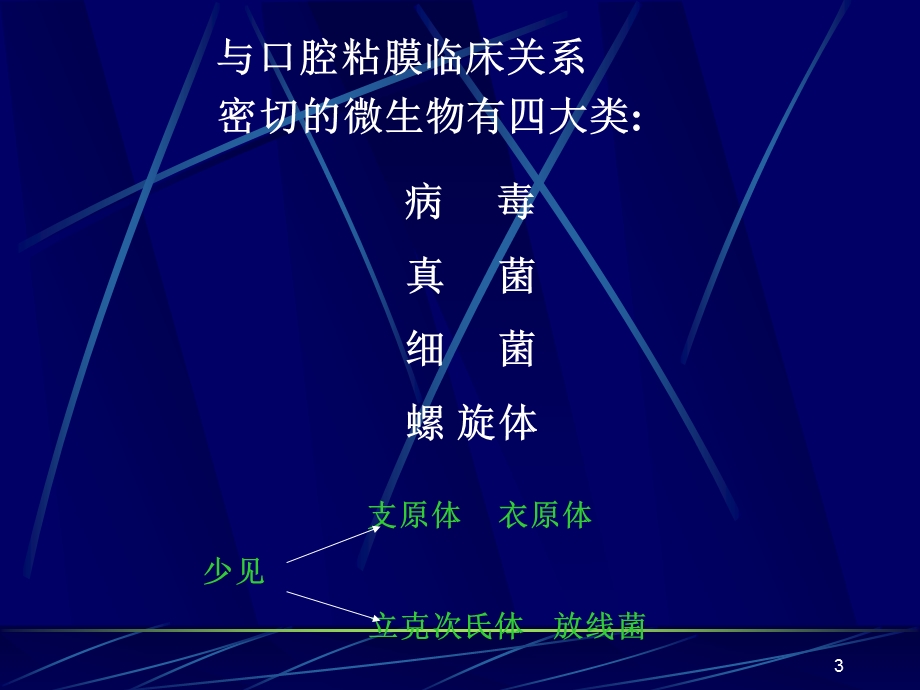 口腔微生物课件.ppt_第3页