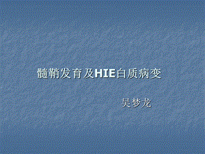 髓鞘发育及HIE白质病变课件.ppt