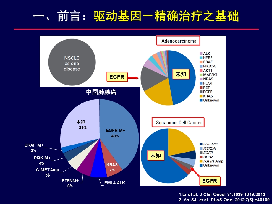 靶向时代晚期NSCLC二线治疗的选择课件.ppt_第2页