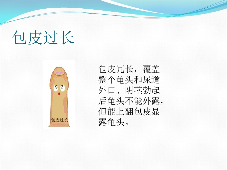 包茎包皮过长演示ppt课件.ppt_第3页