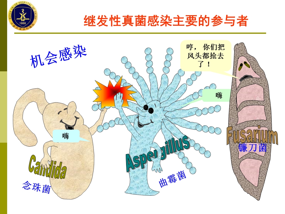 伏立康唑作用特点介绍课件.ppt_第3页