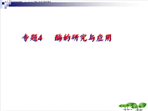 选修一 酶的研究与应用 重点知识整理教学ppt课件.ppt