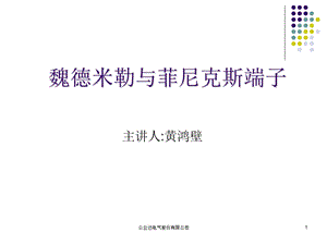 魏德米勒与菲尼克斯端子解析课件.ppt