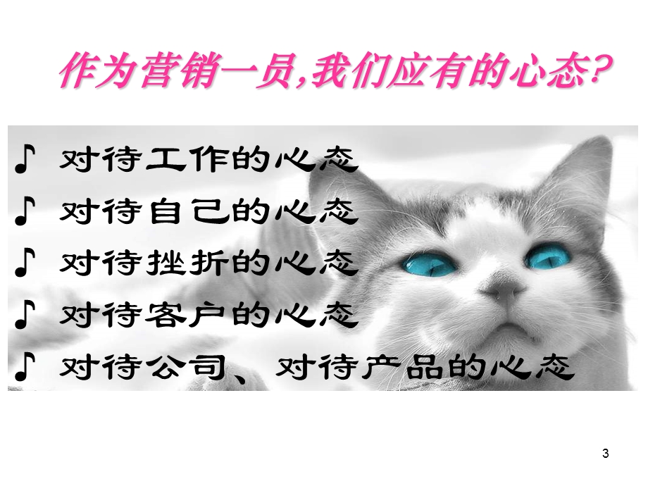 保险公司激励专题课件.ppt_第3页