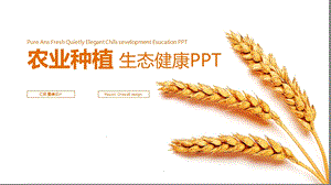 农业种植生态健康PPT模板课件.pptx