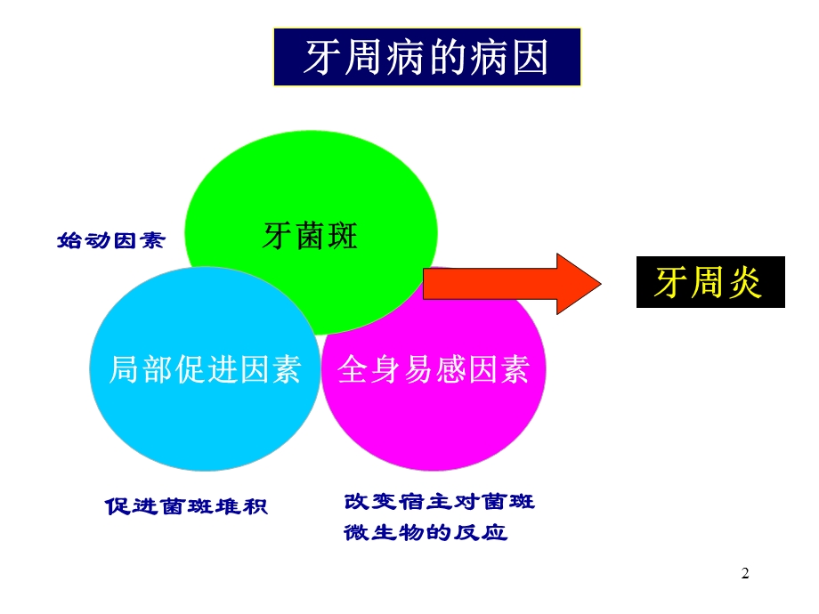 口腔医学牙周病学ppt课件牙周病的病因学.ppt_第2页