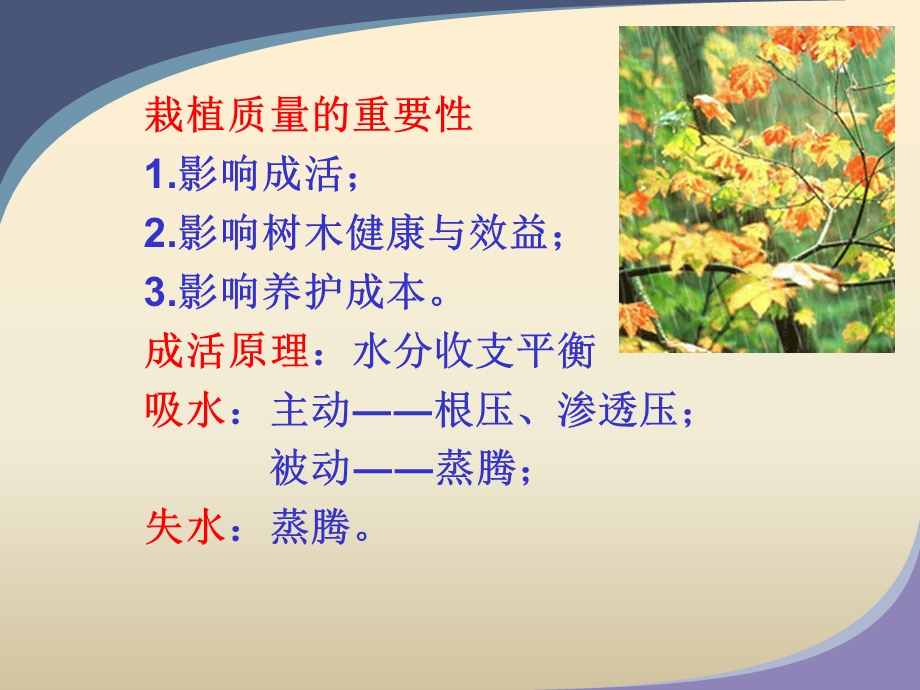 园林树木栽植技术课件.ppt_第3页