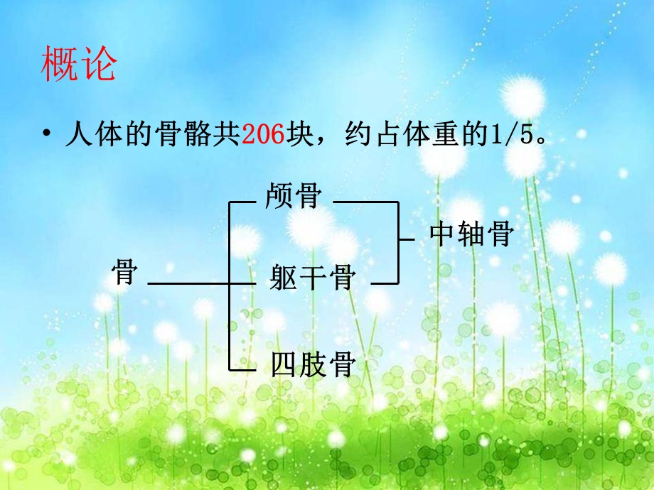 骨折概论 石膏固定 牵引的护理课件.ppt_第2页