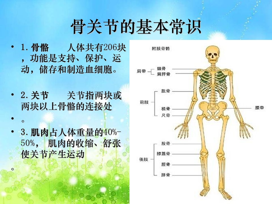 骨折概论 石膏固定 牵引的护理课件.ppt_第3页