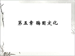 酶的固定化 课件.ppt