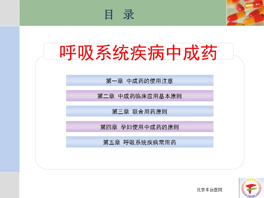 呼吸系统疾病常见中成药使用课件.pptx_第2页