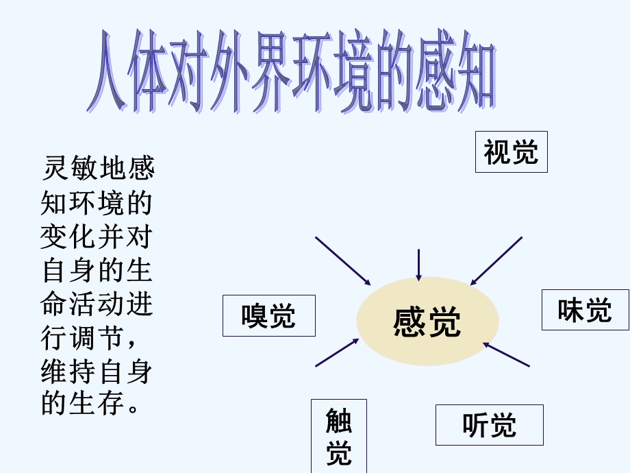 人体对外界环境的感知（复习）课件.ppt_第2页