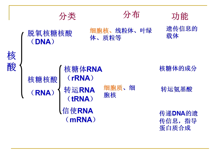 基因工程与食品产业课件.ppt_第3页