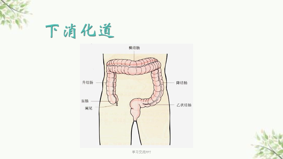 便血幻灯片ppt课件.ppt_第2页