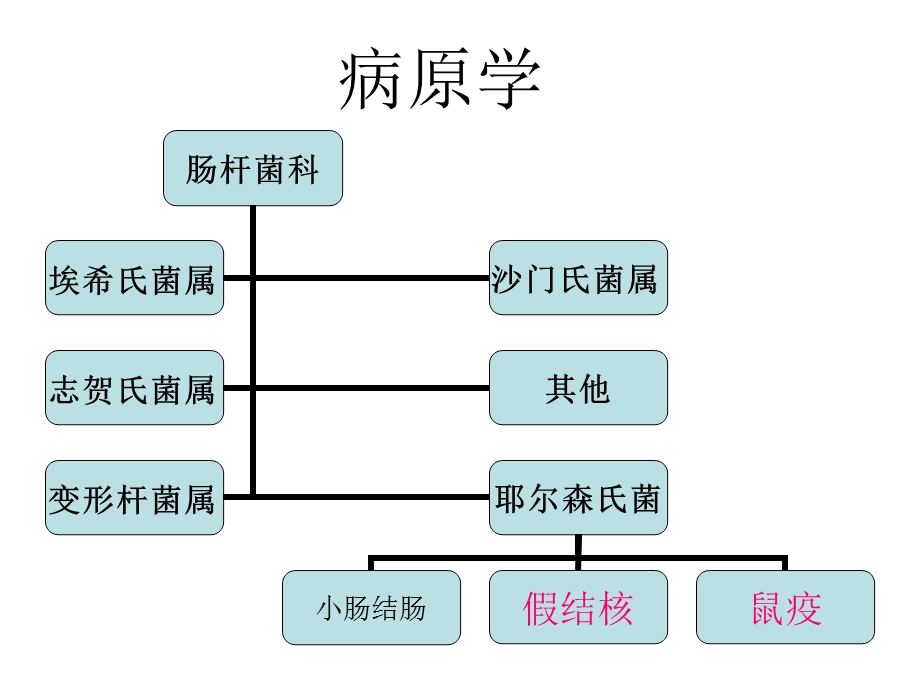 鼠疫趣味ppt课件 鼠疫历史.ppt_第2页