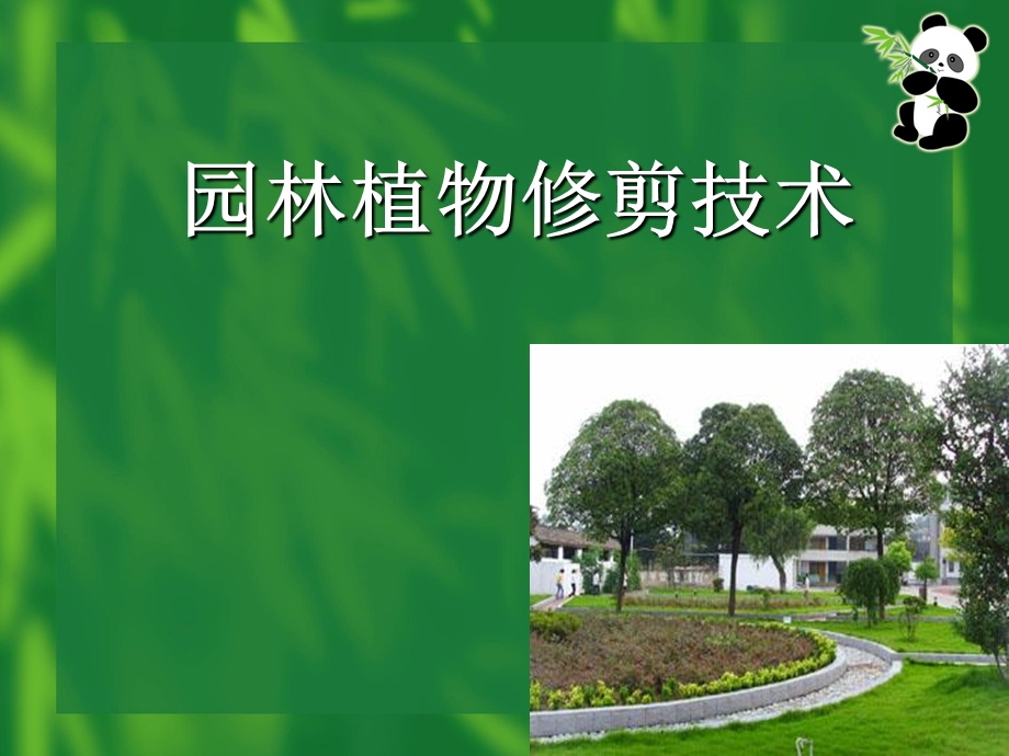 园林植物修剪技术课件.ppt_第1页