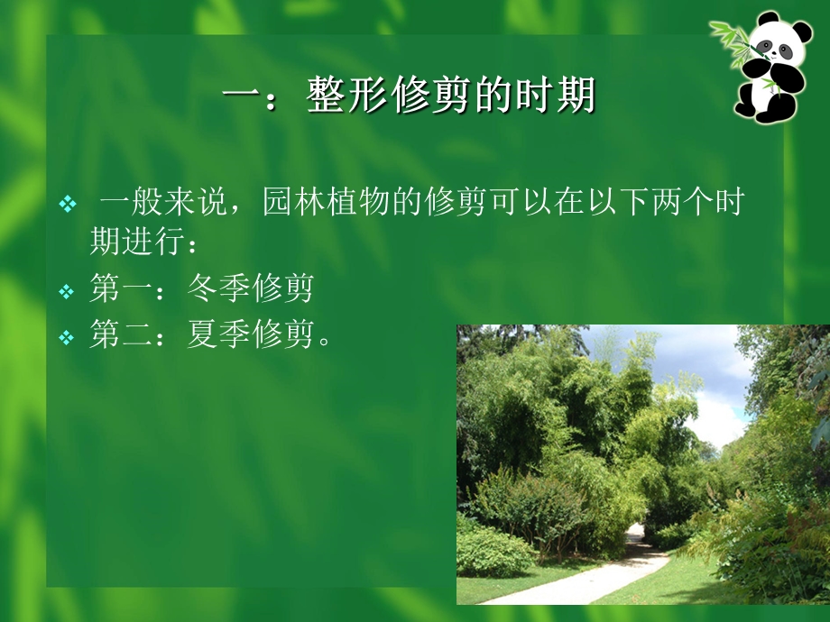 园林植物修剪技术课件.ppt_第3页