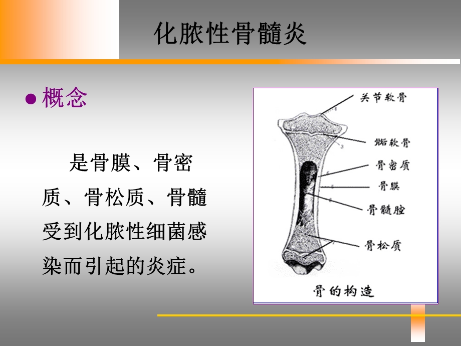 骨与关节感染病人的护理课件.ppt_第3页