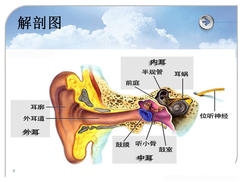 中耳炎课件.ppt_第3页