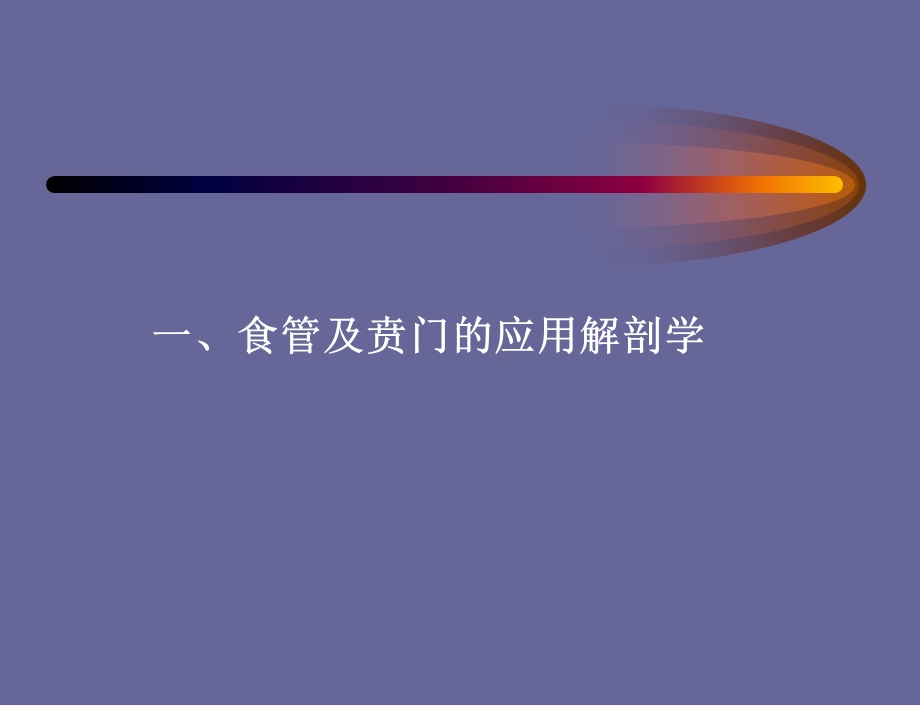 食管癌 喷门癌课件.ppt_第2页