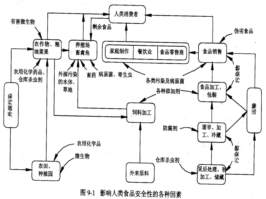 食品微生物学第八章HACCP体系课件.ppt_第3页