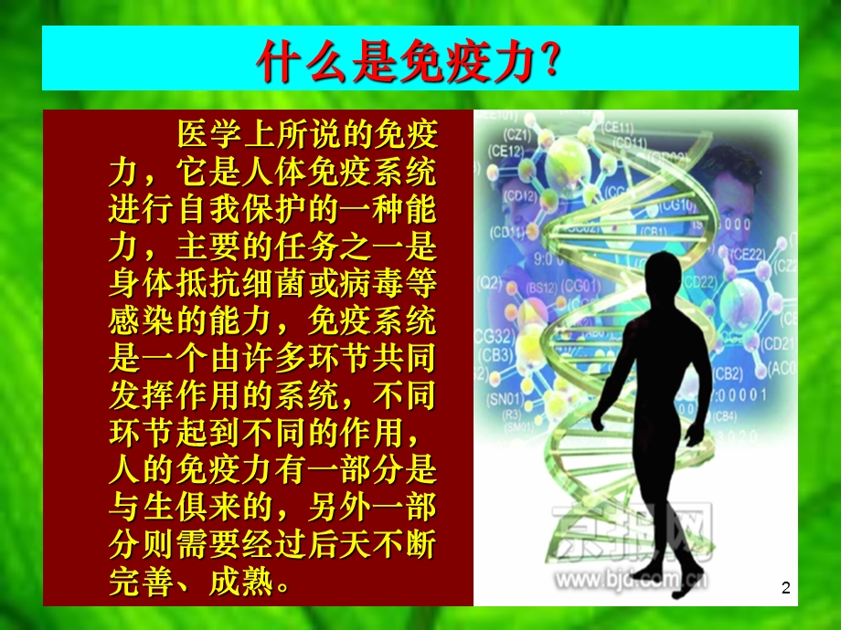 免疫力与人体健康课件.ppt_第2页