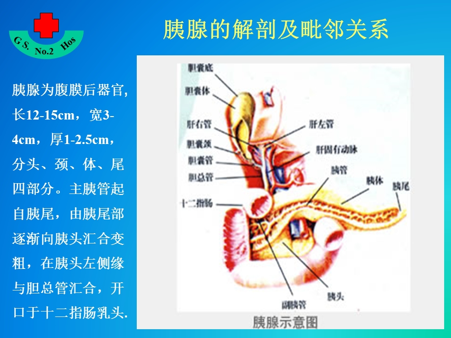 重症胰腺炎的超声监控.ppt省二院课件.ppt_第2页