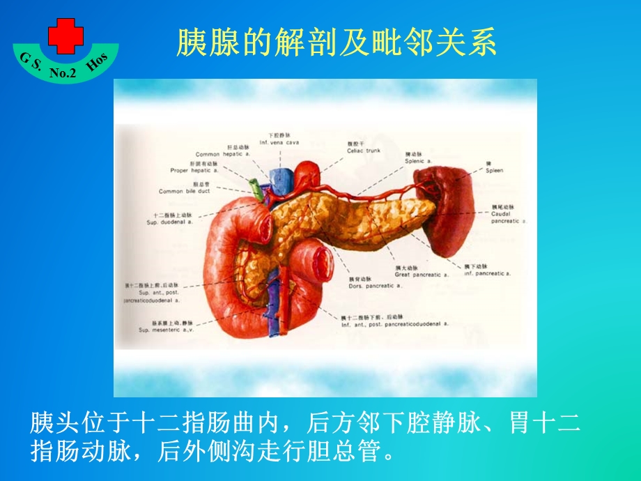 重症胰腺炎的超声监控.ppt省二院课件.ppt_第3页