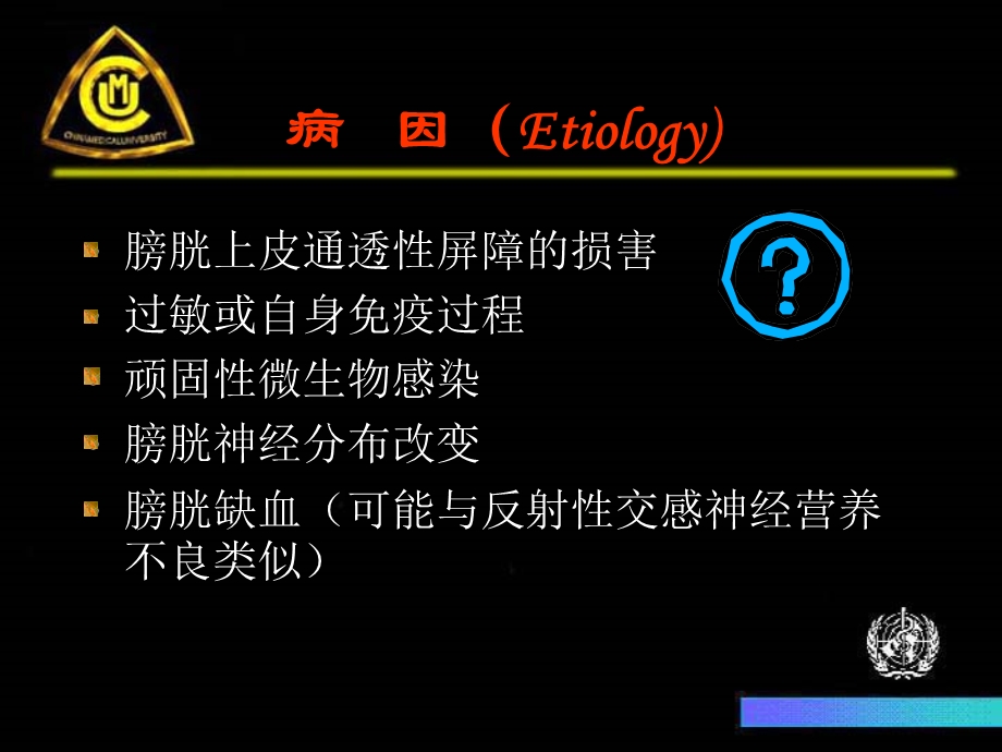 间质性膀胱正文课件.ppt_第3页