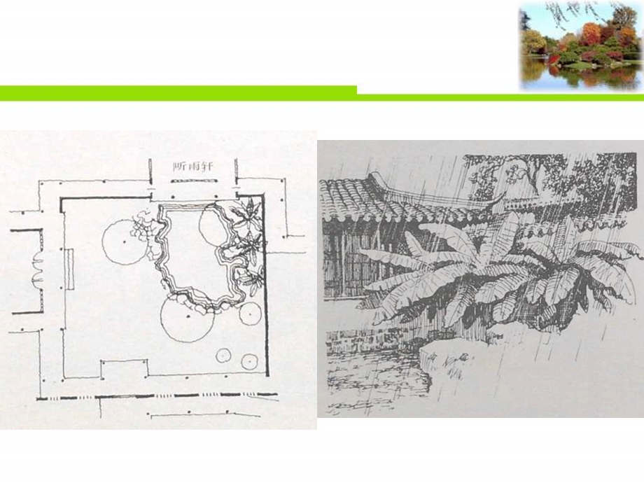 园林植物造景案例分析课件.ppt_第3页