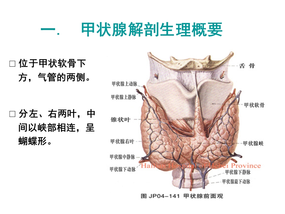 颈部疾病护理课件.ppt_第2页