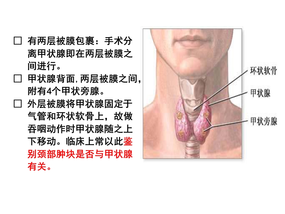 颈部疾病护理课件.ppt_第3页