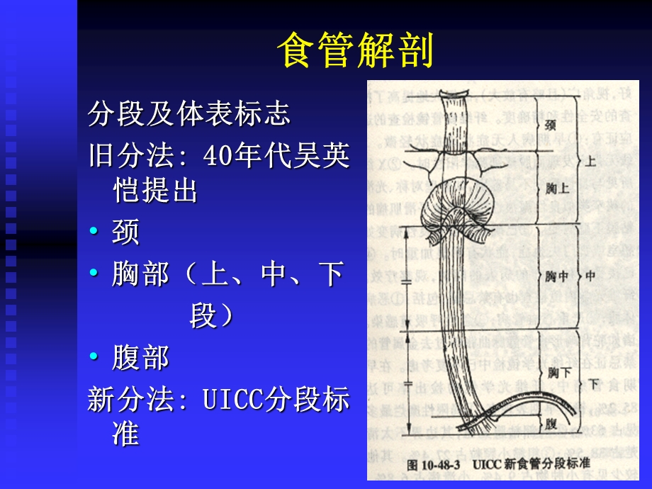 食管癌术后护理课件.ppt_第3页