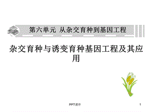 高三一轮复习：从杂交育种到基因工程课件.ppt