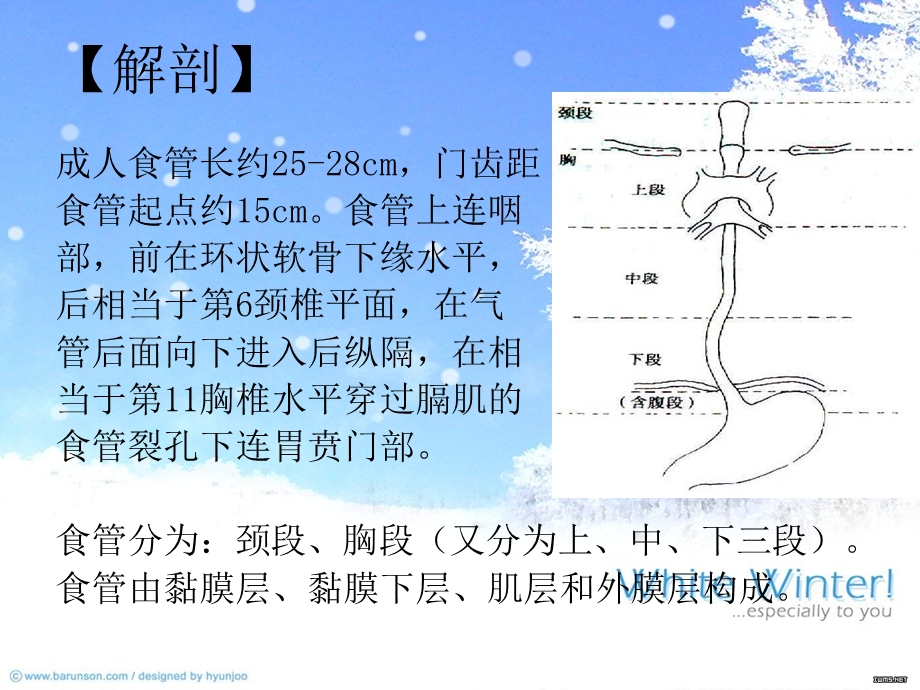 食管癌的手术护理配合课件.ppt_第3页